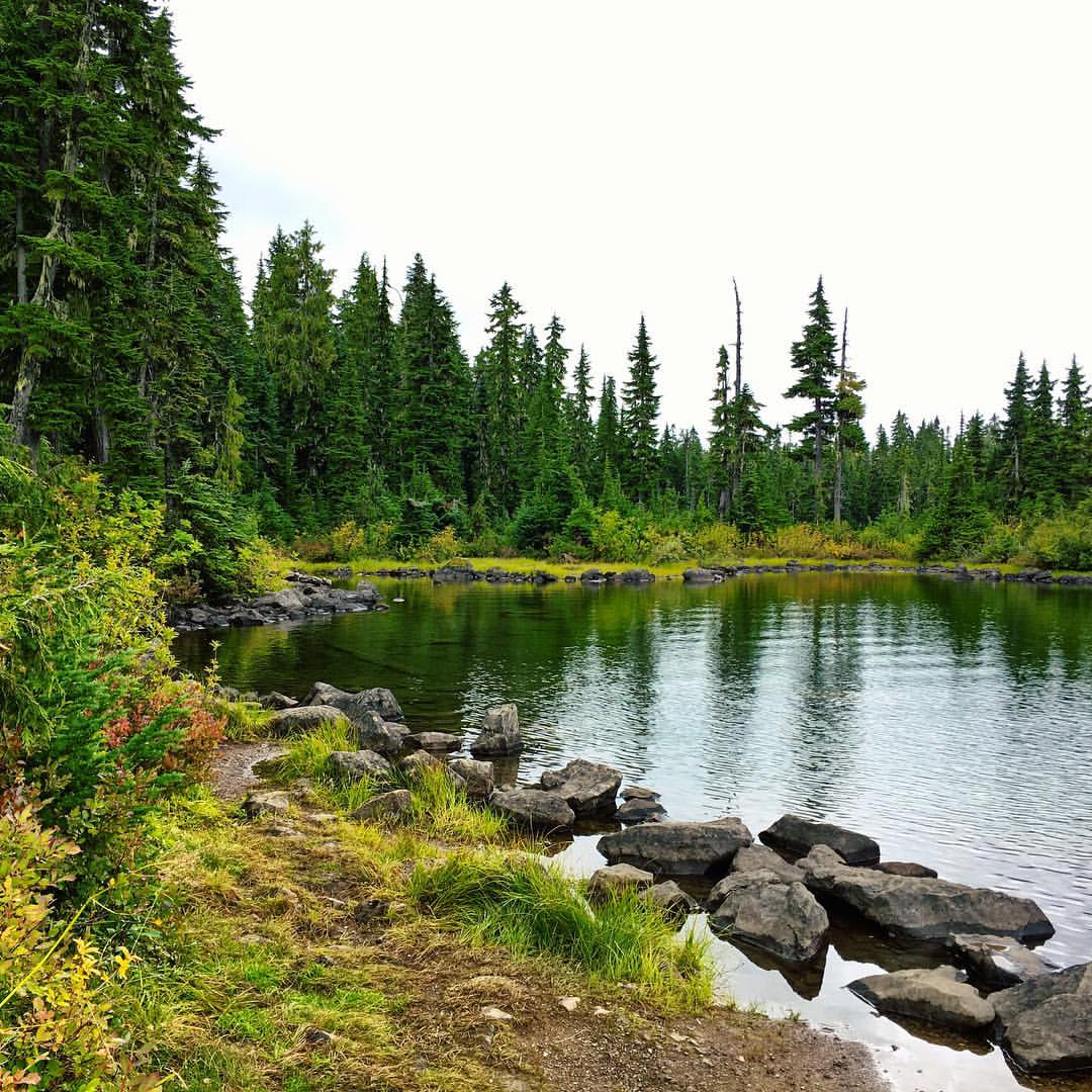 14361394_10157678507845495_5275961376393616654_o